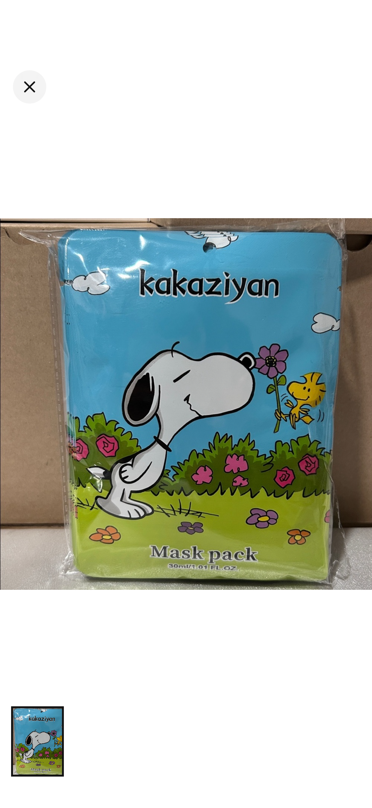All snoopy bundle