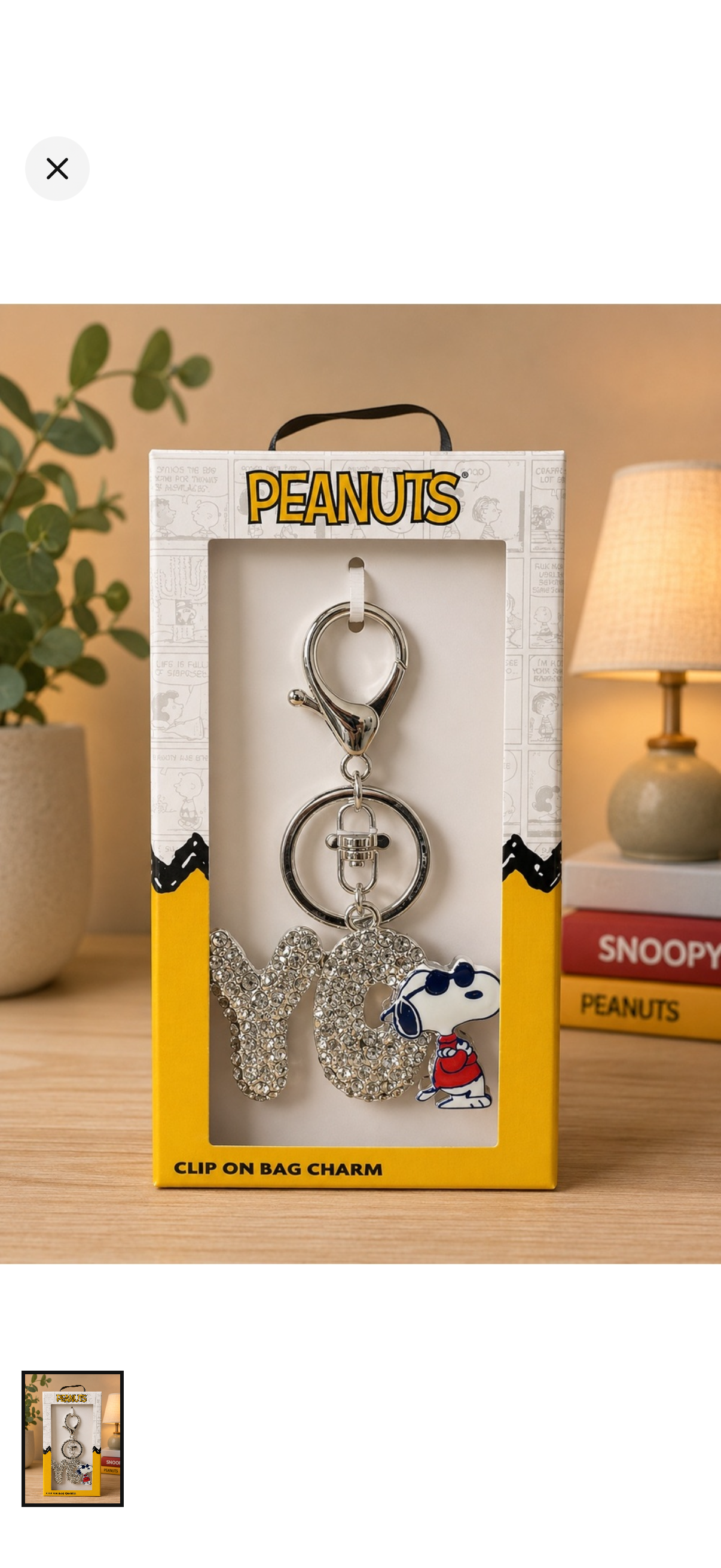 All snoopy bundle